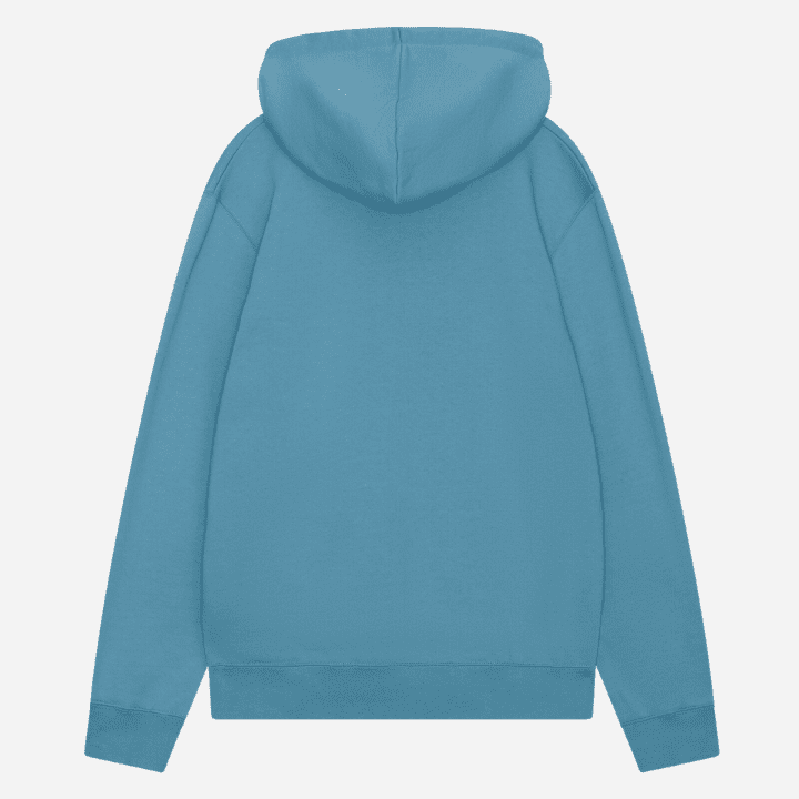 Ash IVY hoodie